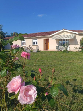 Belle maison sur la Voie Verte, Mâcon-Cluny, 6 personnes